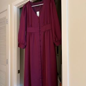 BEAUTIFUL NWT J-Crew Purple Dress